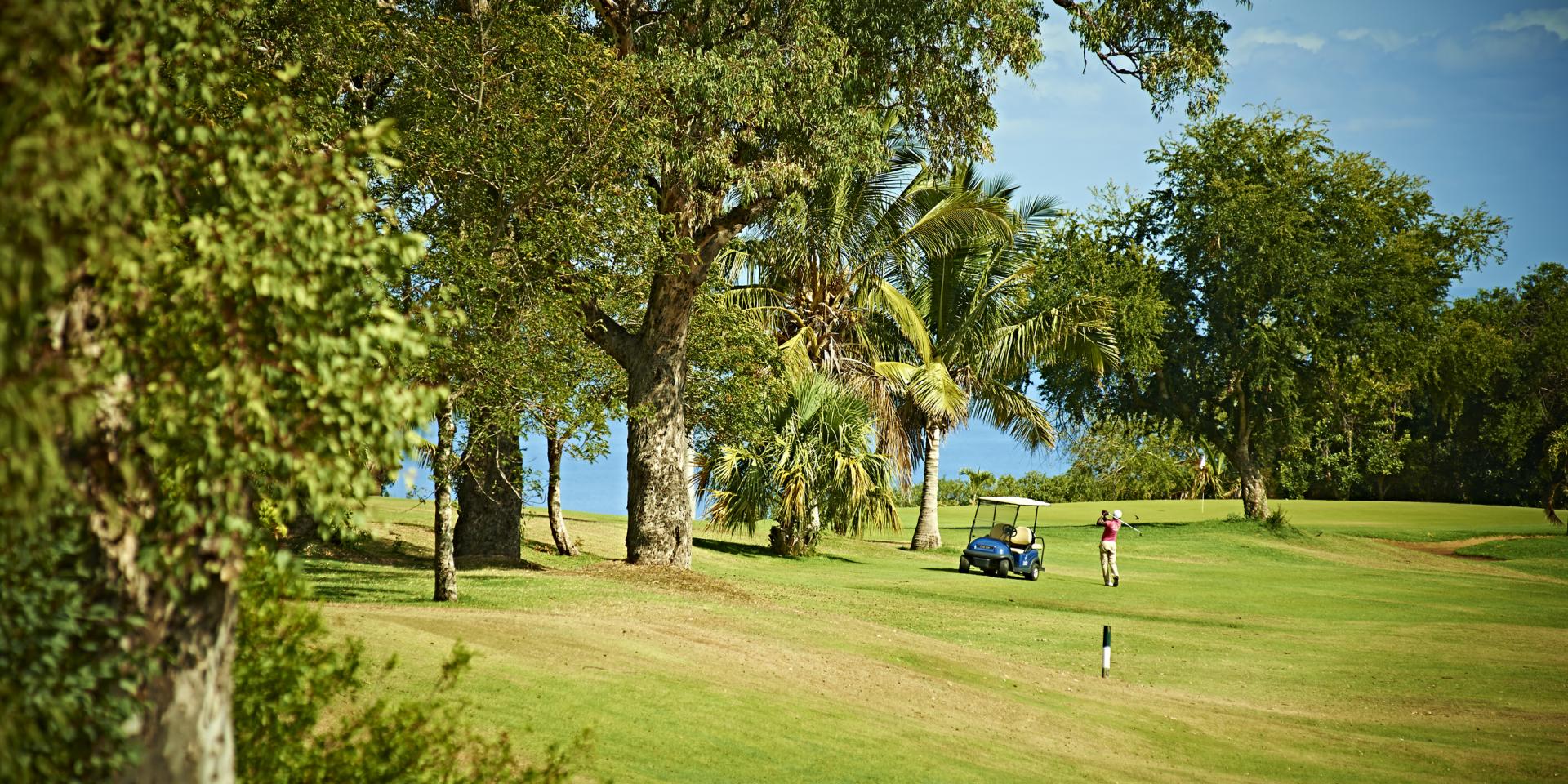 Parcours de golf Île de la