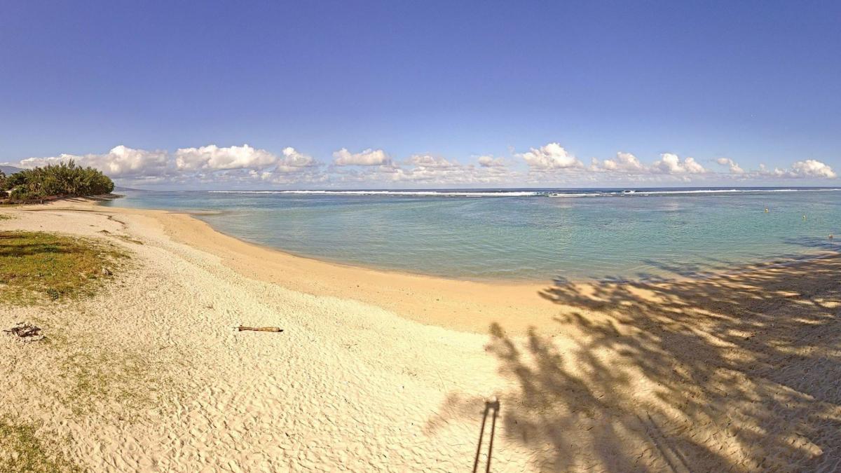 Les cams sur l’île de La Réunion