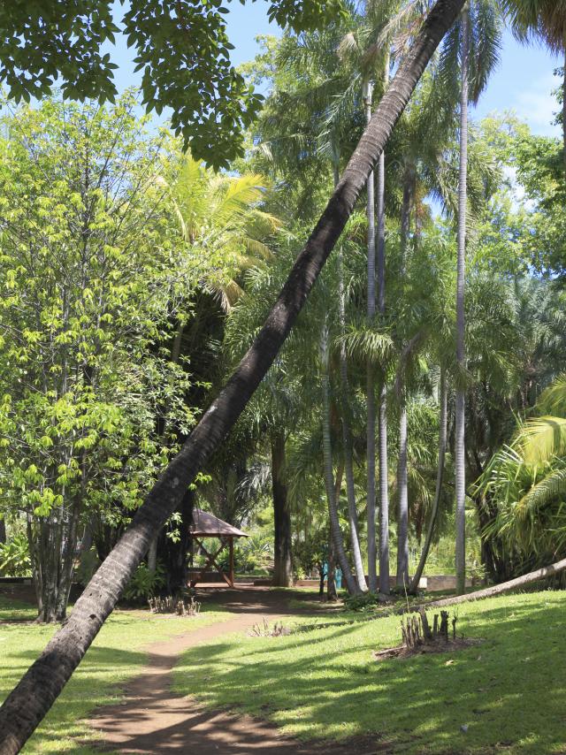 jardin03_de_l_etat_-_credit_irt_-_emmanuel_virin.jpg