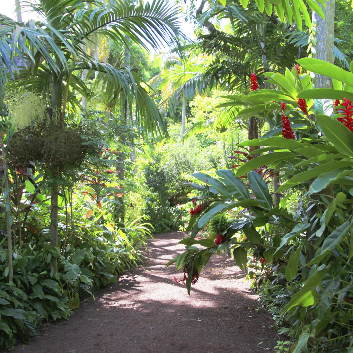 So authentisch Île de la Réunion Tourisme