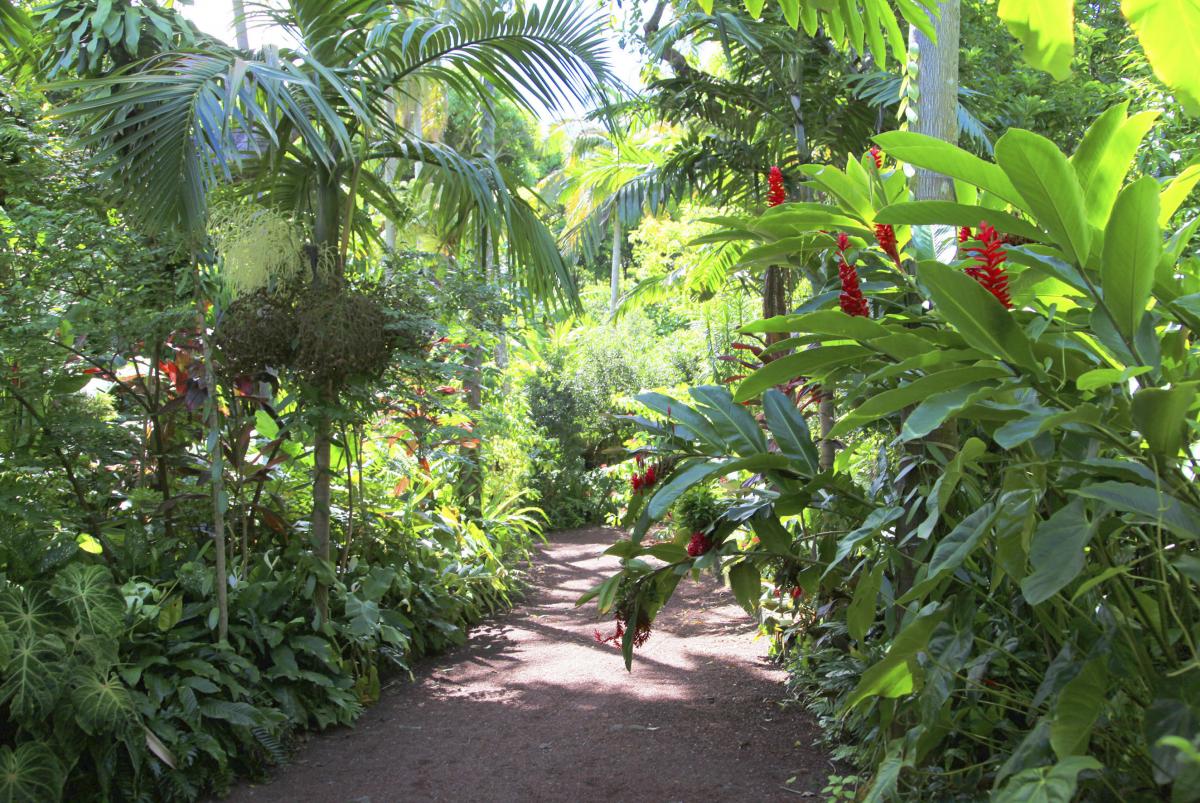 Entdecken Sie die kreolischen Gärten von La Réunion Île de la Réunion
