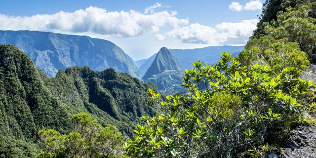 montagne12_sentier_scout_-_credit_irt_-_corine_tellier_dts_10_2017.jpg