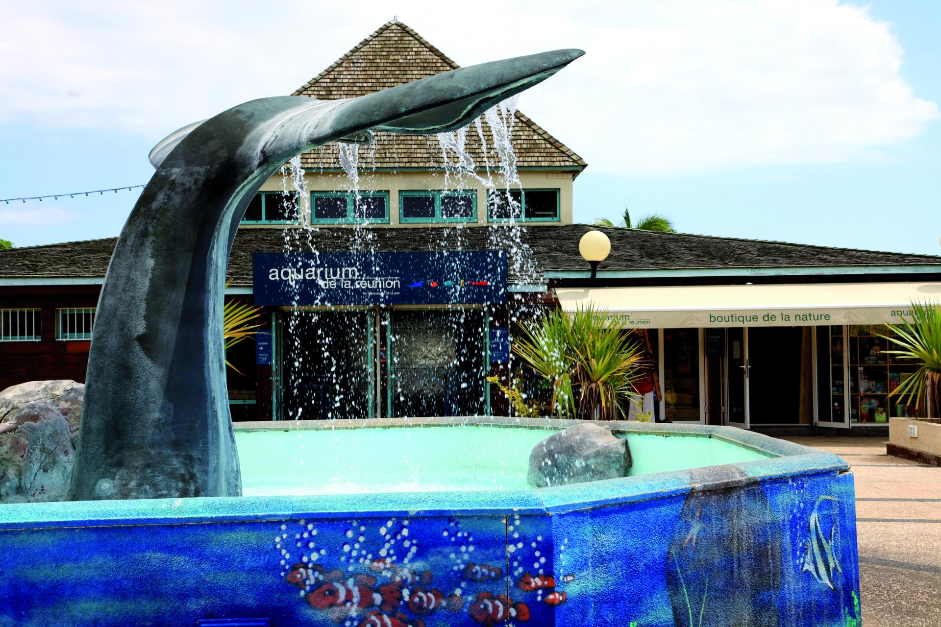 Aquarium de Saint-Gilles
