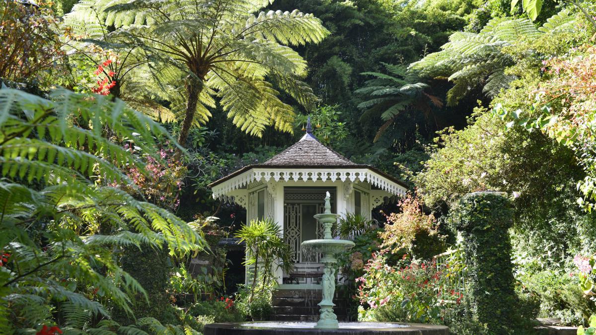 Die Botanischen Gärten Île de la Réunion Tourisme
