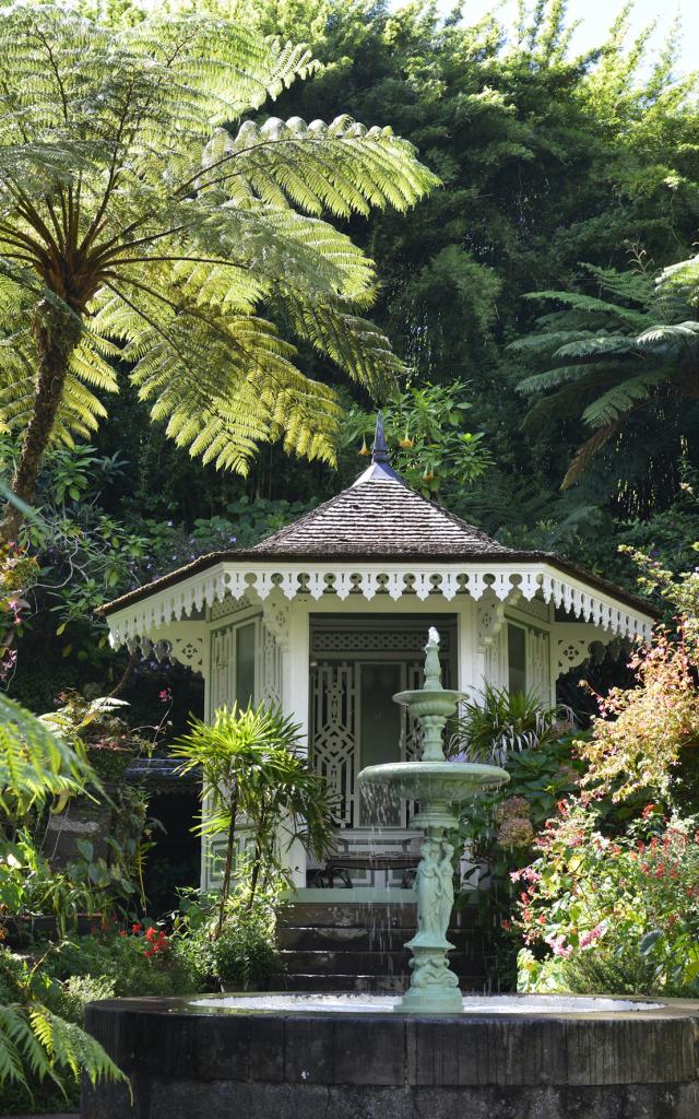 Les jardins botaniques La Réunion