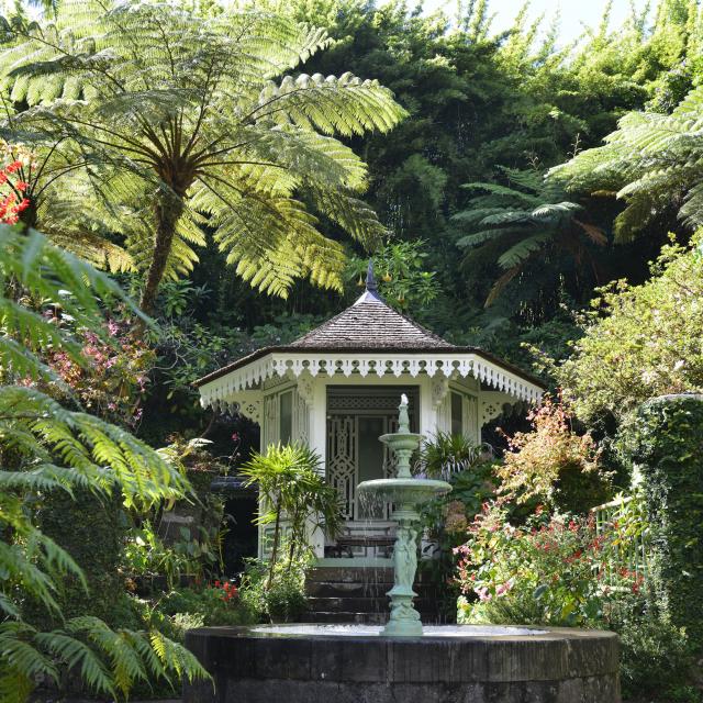 Les jardins botaniques La Réunion