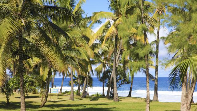 Plage de la Grande Anse, La Réunion