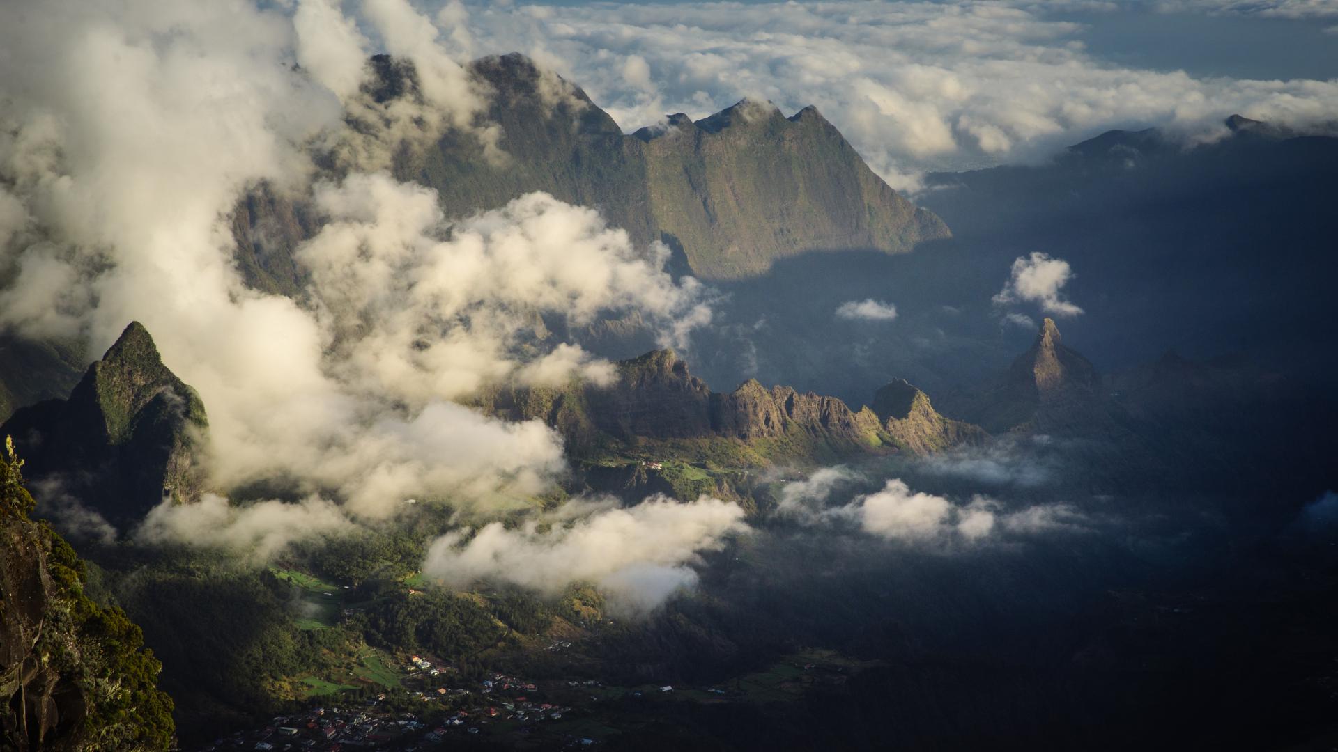 Der Regenwald Forêt de Bélouve Île de la Réunion Tourisme
