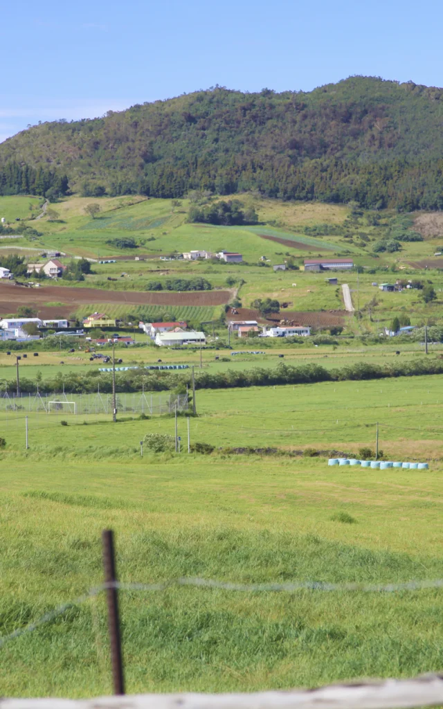 les plaines à la réunion