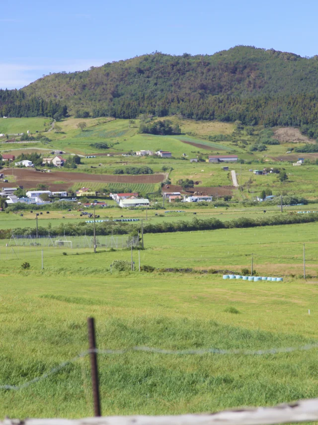 les plaines à la réunion