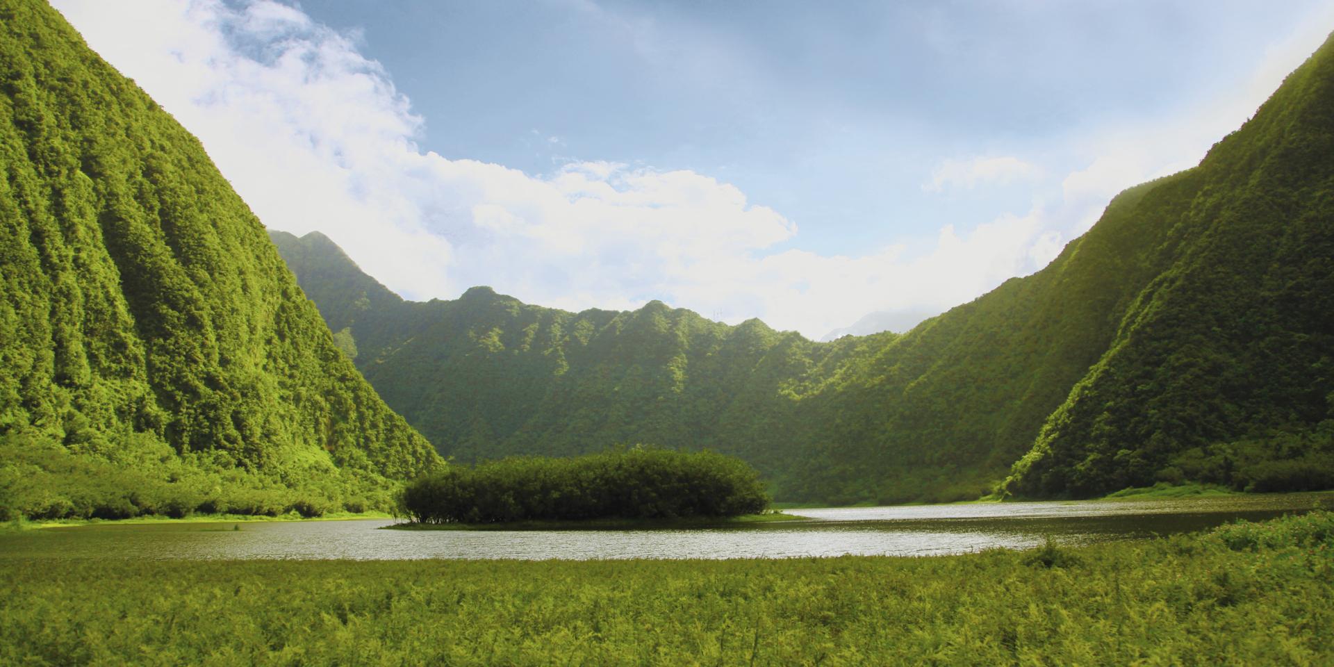 Les plaines Île de la Réunion Tourisme
