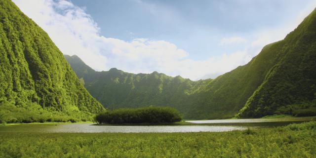 les plaines à la réunion