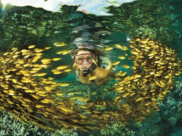 plongee_fonds_marins22_lagon_apnee_-_credit_irt_-_laurent_beche_dts_11_2016.jpg
