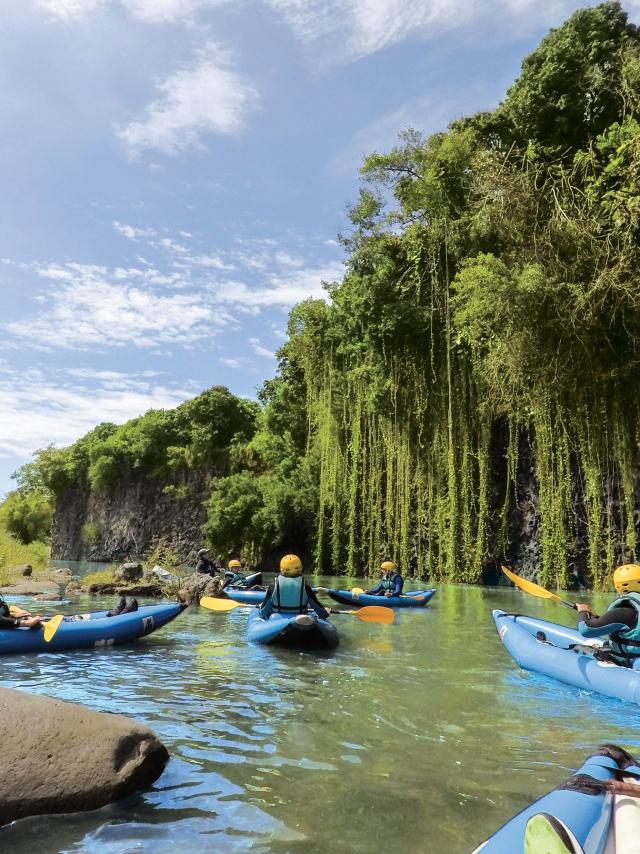 nature de La Réunion
