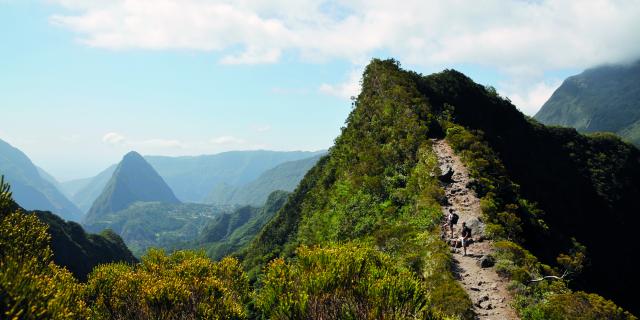randonnee_pedestre107_sentier_scout_-_credit_irt_-_luc_reynaud_dts_06_2019.jpg