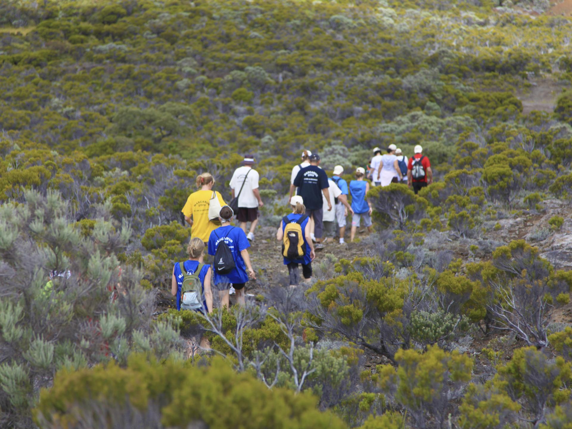 Visiter le Piton de laFournaise Nos 5 idées insolites