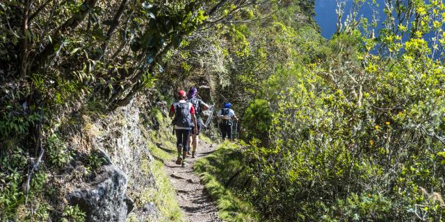 randonnee_pedestre90_sentier_scout_-_credit_irt_-_corine_tellier_dts_10_2017.jpg