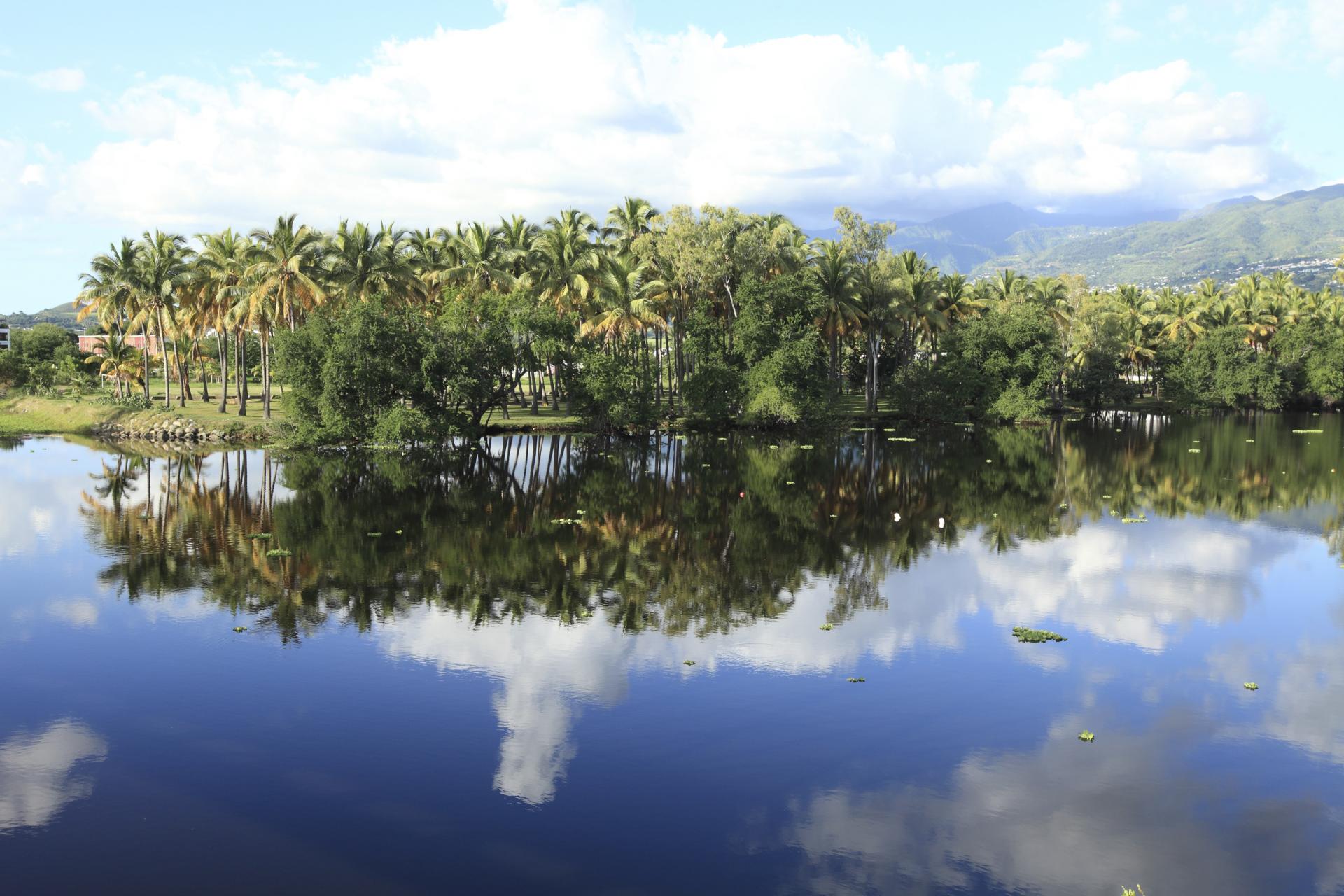 Étang de Saint-Paul, La Réunion