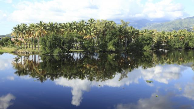 Étang de Saint-Paul, La Réunion