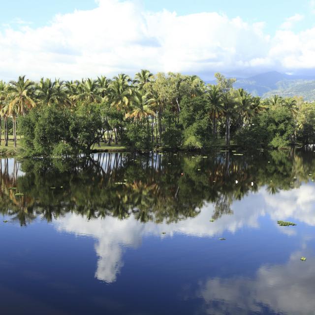 Étang de Saint-Paul, La Réunion