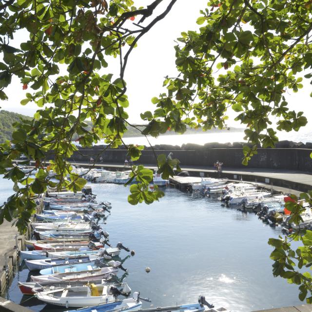 sainte_rose20_pont_-_credit_irt_-_evelyne_coustillat.jpg