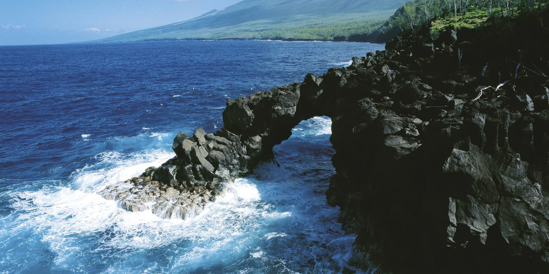 Le Sud Sauvage