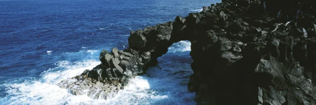 Le Sud Sauvage