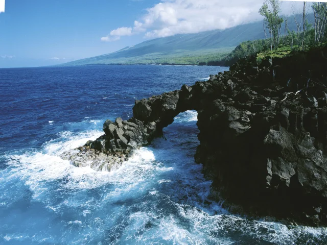 Le Sud Sauvage