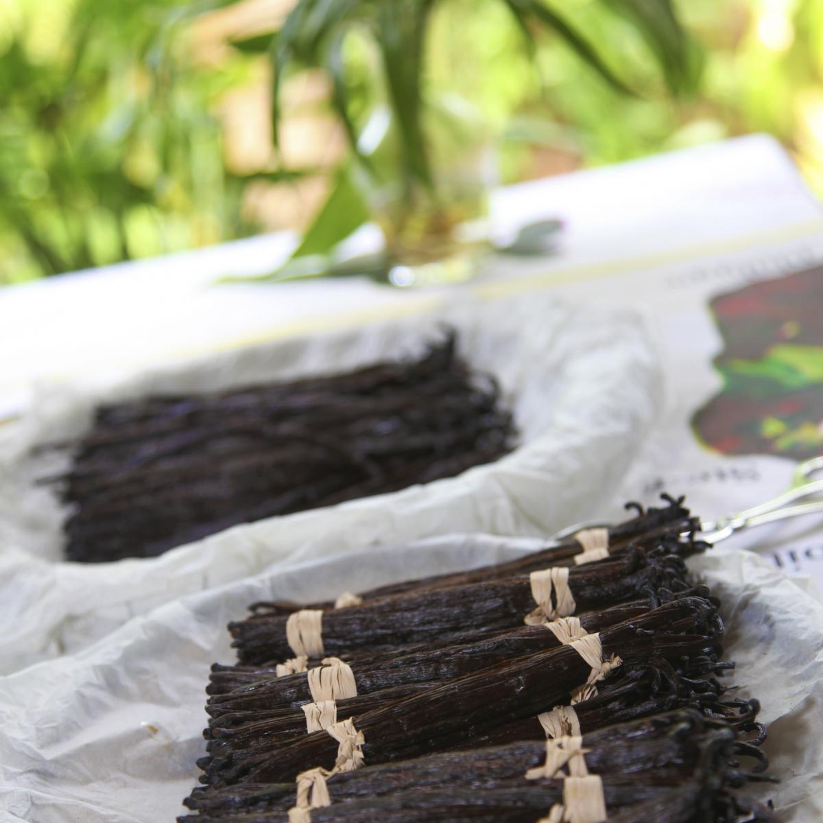 Die beste Vanille der Welt Île de la Réunion Tourisme