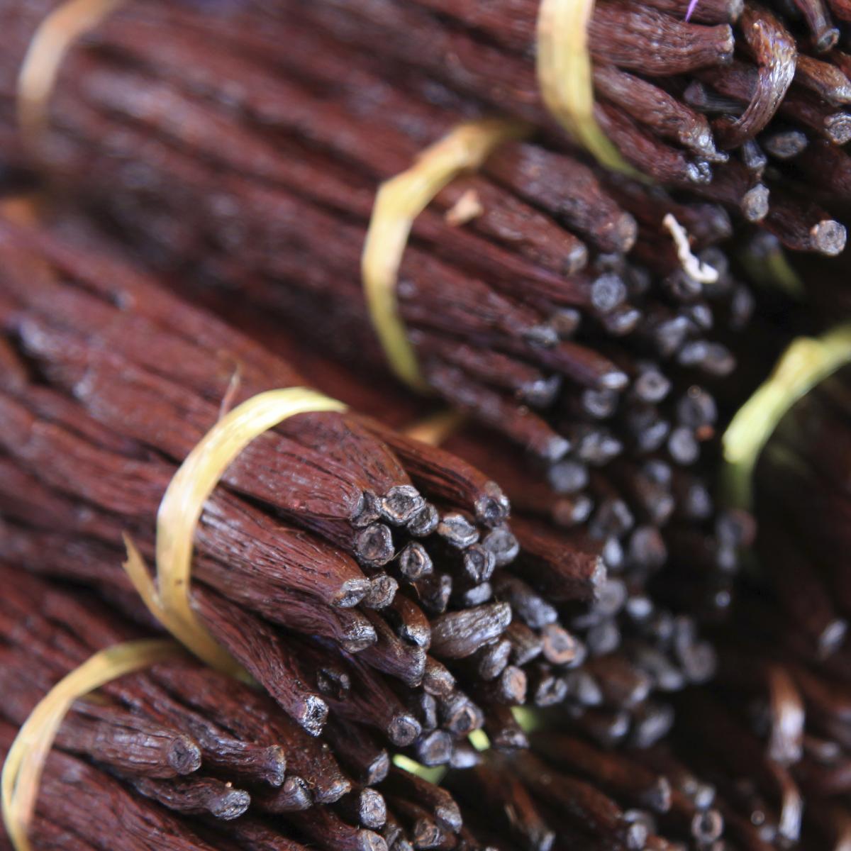 Vanilla in Reunion Island: a delicious family outing