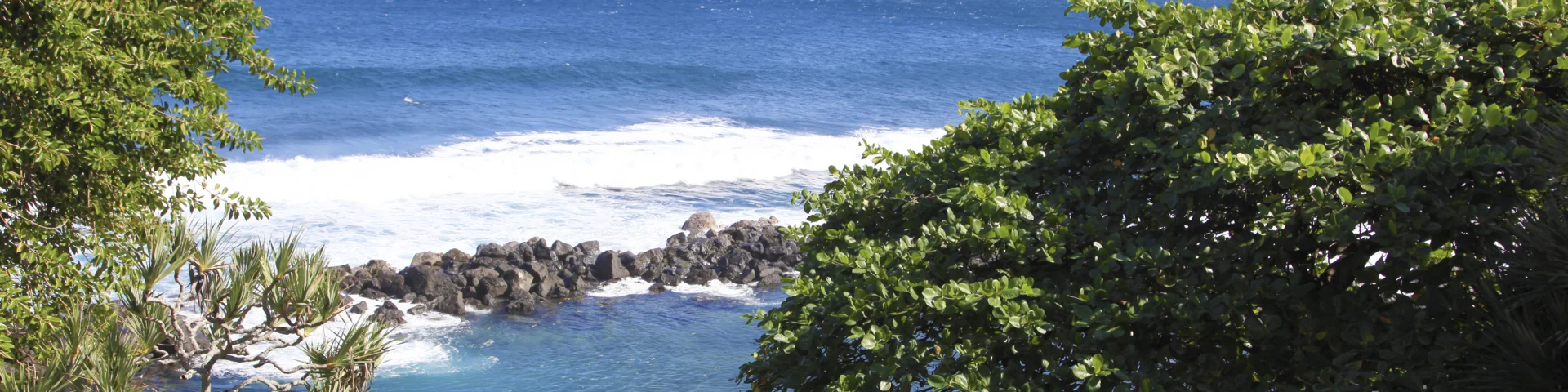 pêche à la réunion