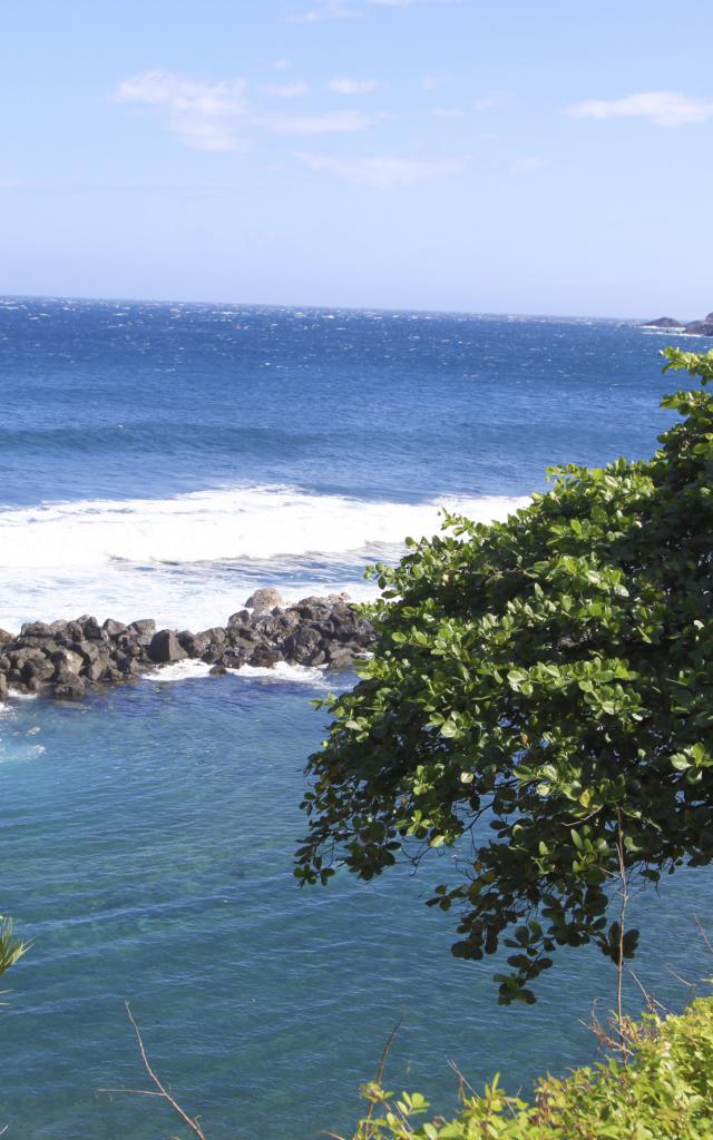 saint-joseph02-plage-manapany-les-bains-saint-joseph-credit-irt-emmanuel-virin.jpg