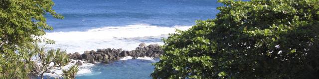 pêche à la réunion