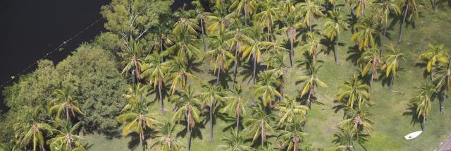 Étang Saint-Paul,La Réunion