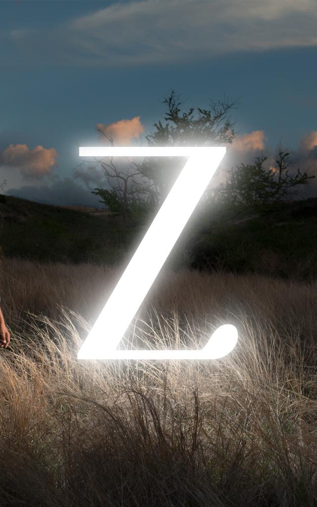 Z Savane 0.jpg