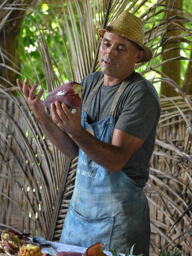 du_champ_a_l_assiette_irtla_petite_creole_5.jpg