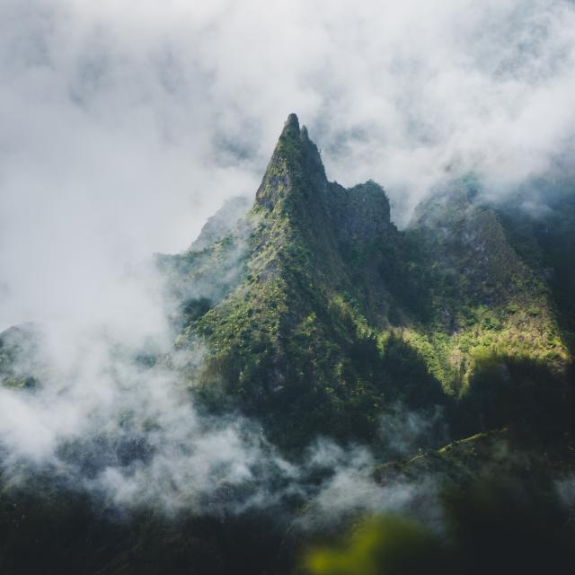 Intensely nature  Île de la Réunion Tourisme