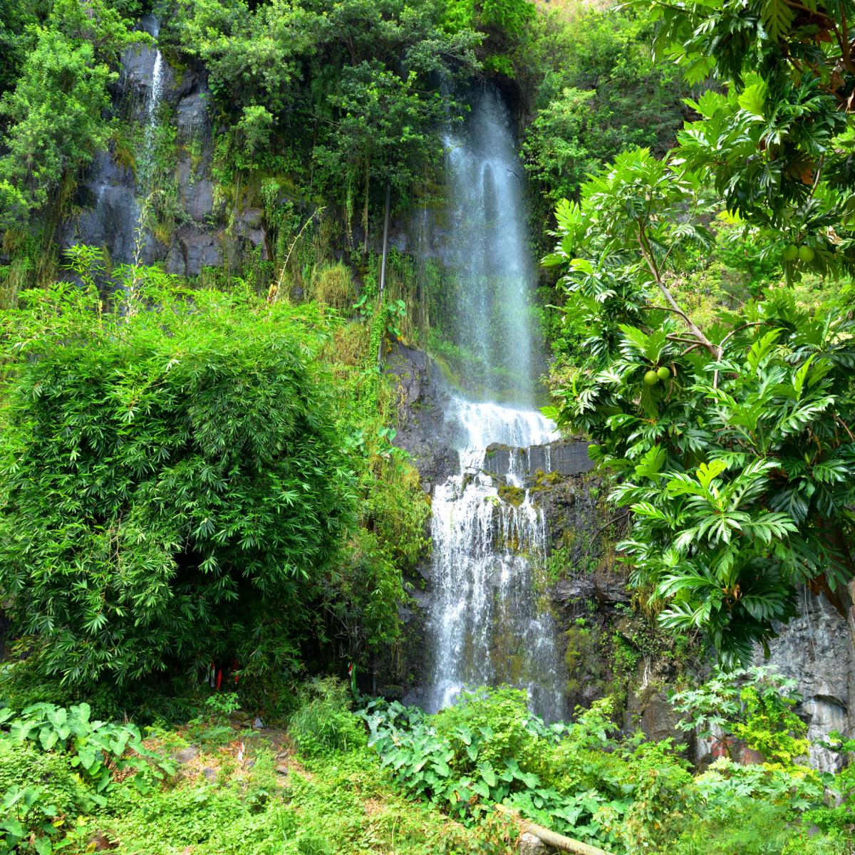 Der Nationalpark von La Réunion Île de la Réunion Tourisme Der Nationalpark von La Réunion Île de la Réunion Tourisme