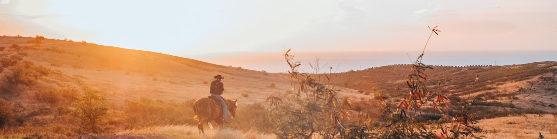 écotourisme île de la réunion