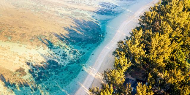 paysage-sable-arbre-et-mer-lux-1-credit-naime-vally-dts-web-illimites.jpg
