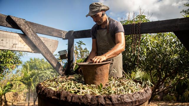 Alambic Du Jardin A L Alambic Fontaine Aromatique