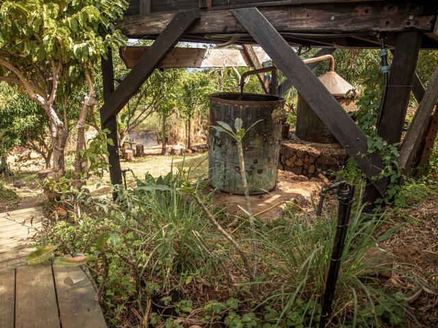 Du Jardin A L Alambic Fontaine Aromatique Alambic