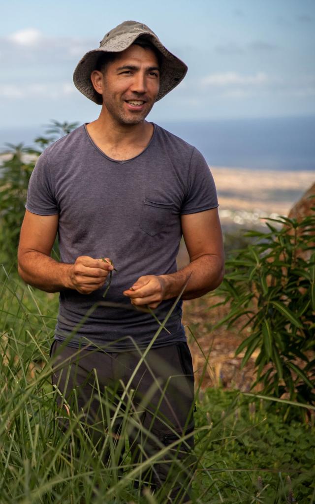 Johan Morel Fontaine Aromatique Du Jardin A L Alambic