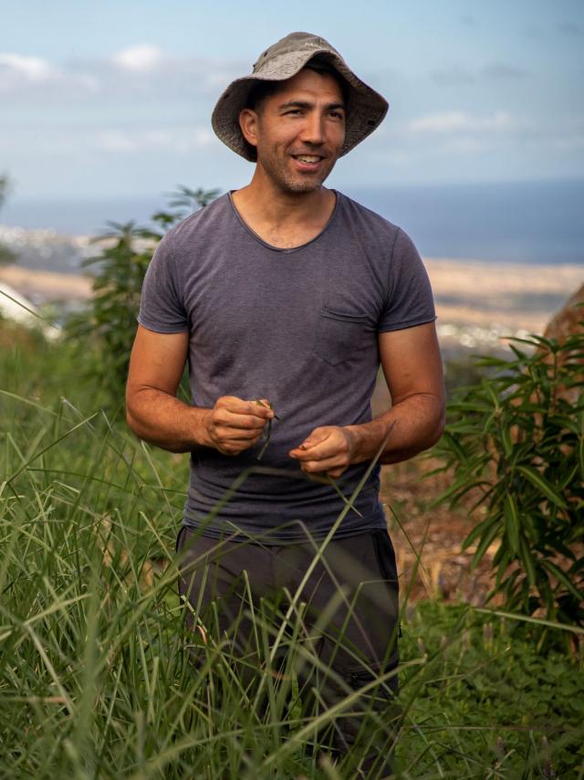 Johan Morel Fontaine Aromatique Du Jardin A L Alambic