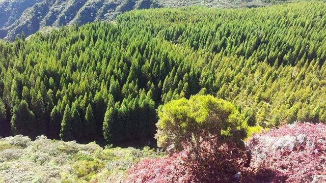 Montagne Mafate98