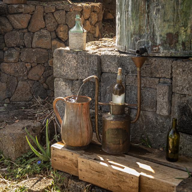 Du Jardin à L Alambic La Fontaine Aromatique Irt@travels Gallery Dt 2030 (11)