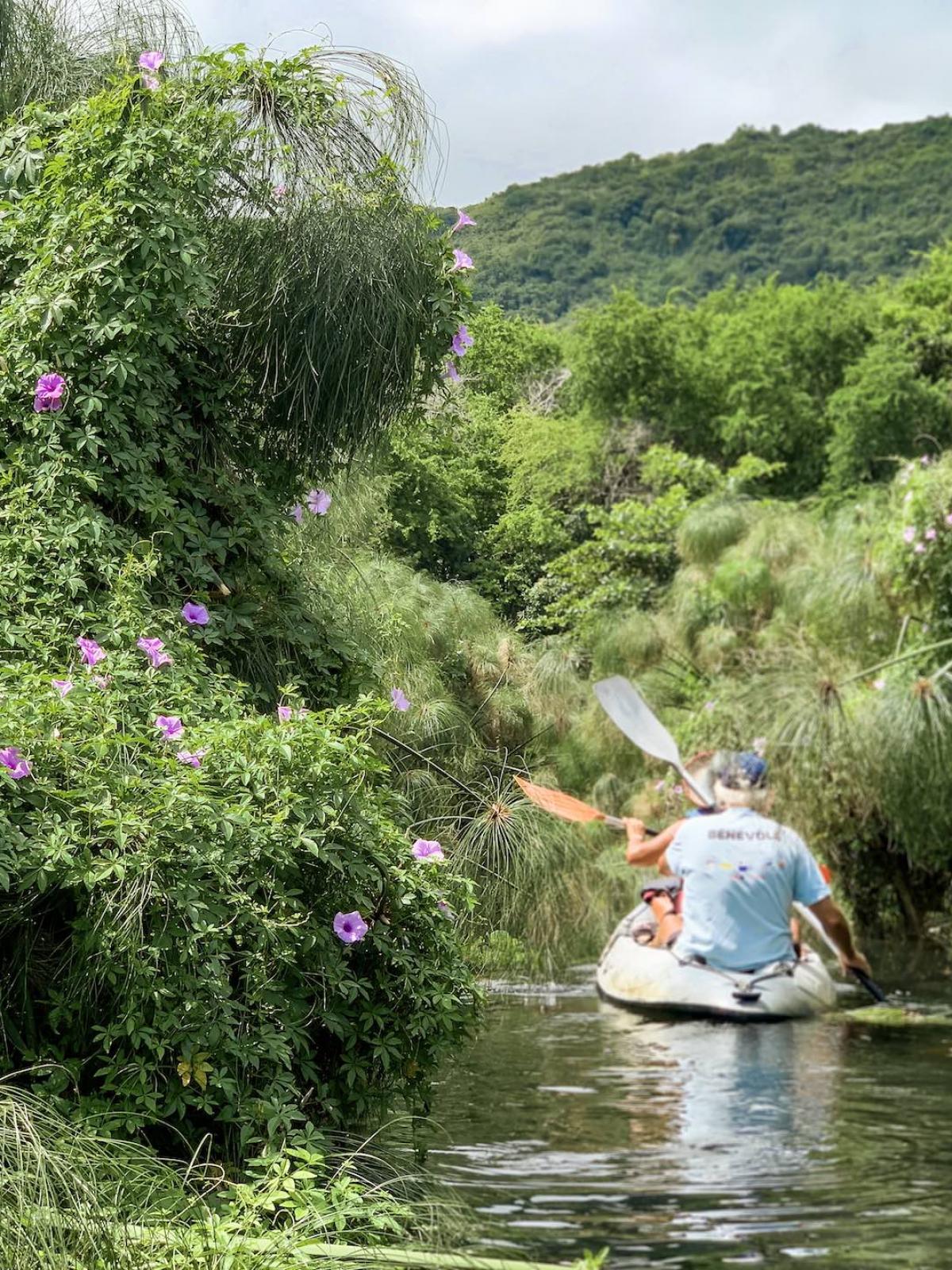 La Réserve Naturelle Nationale de l’Etang SaintPaul Île de la Réunion Tourisme