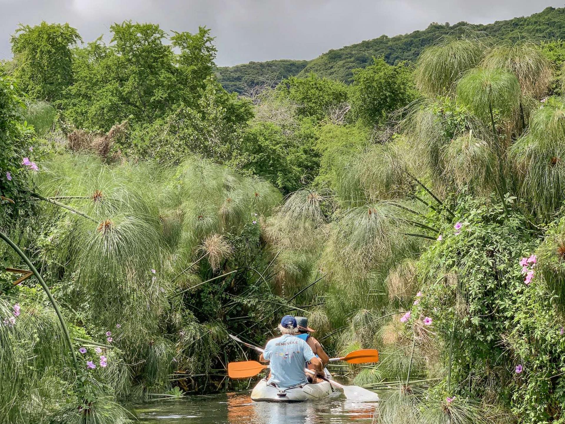 La Réserve Naturelle Nationale de l’Etang SaintPaul Île de la Réunion Tourisme