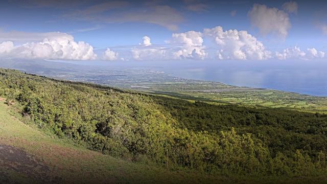 Webcam Sainte Rose 4 Bacs