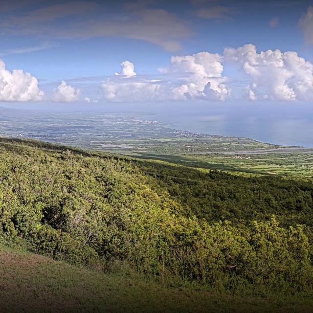 Webcam Sainte Rose 4 Bacs